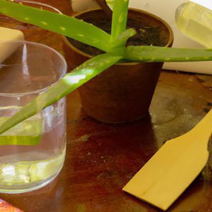 aloes na opryszczkę