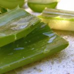 czy aloes jest jadalny